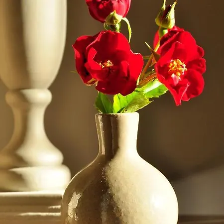 Moulin De Labique Bed & Breakfast Saint-Eutrope-de-Born