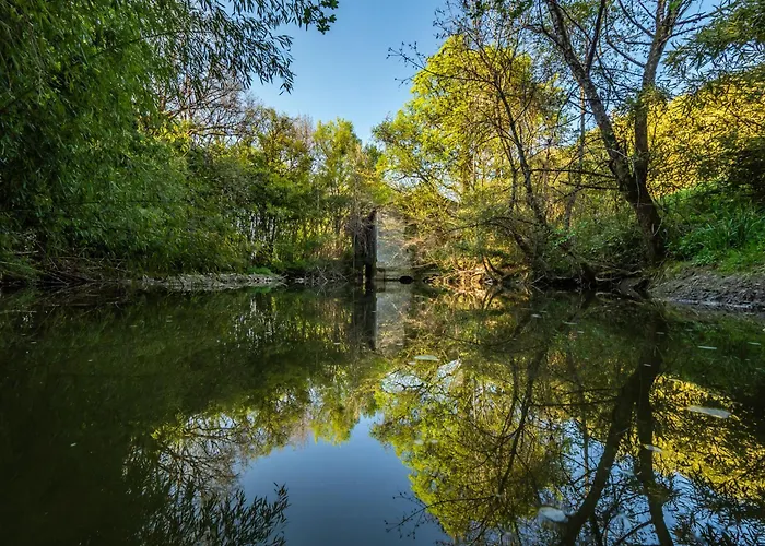Moulin De Labique Saint-Eutrope-de-Born